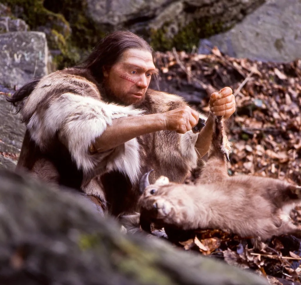 neandertais