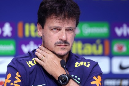 técnico Fernando Diniz
