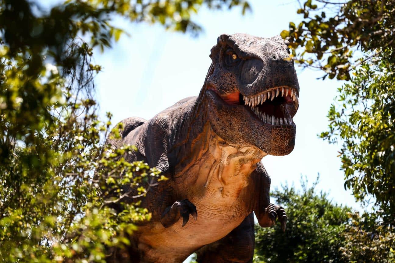 couro de T. Rex