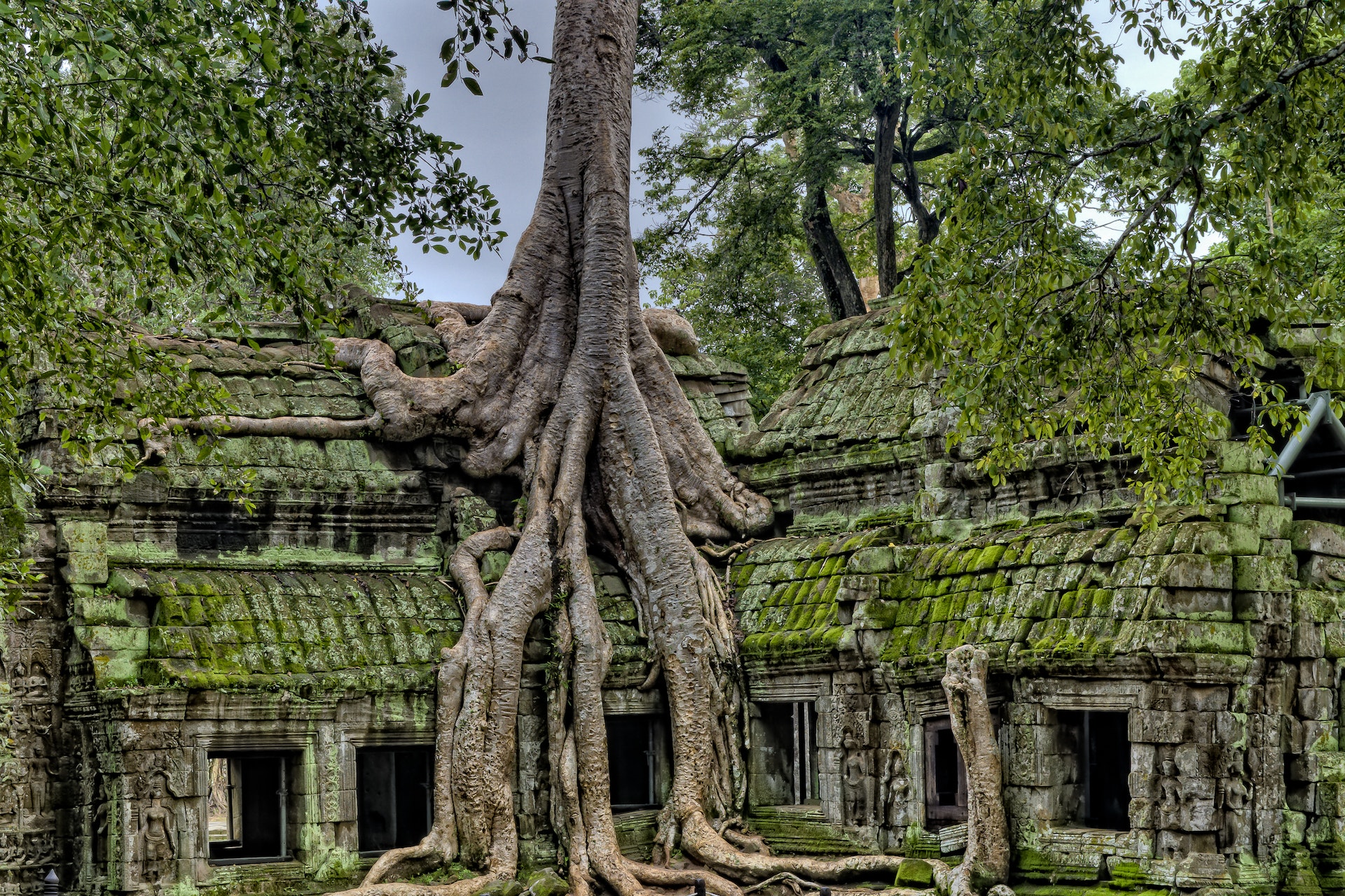 Templo Ta Prohm, Camboja — raízes gigantes abraçando ruínas antigas