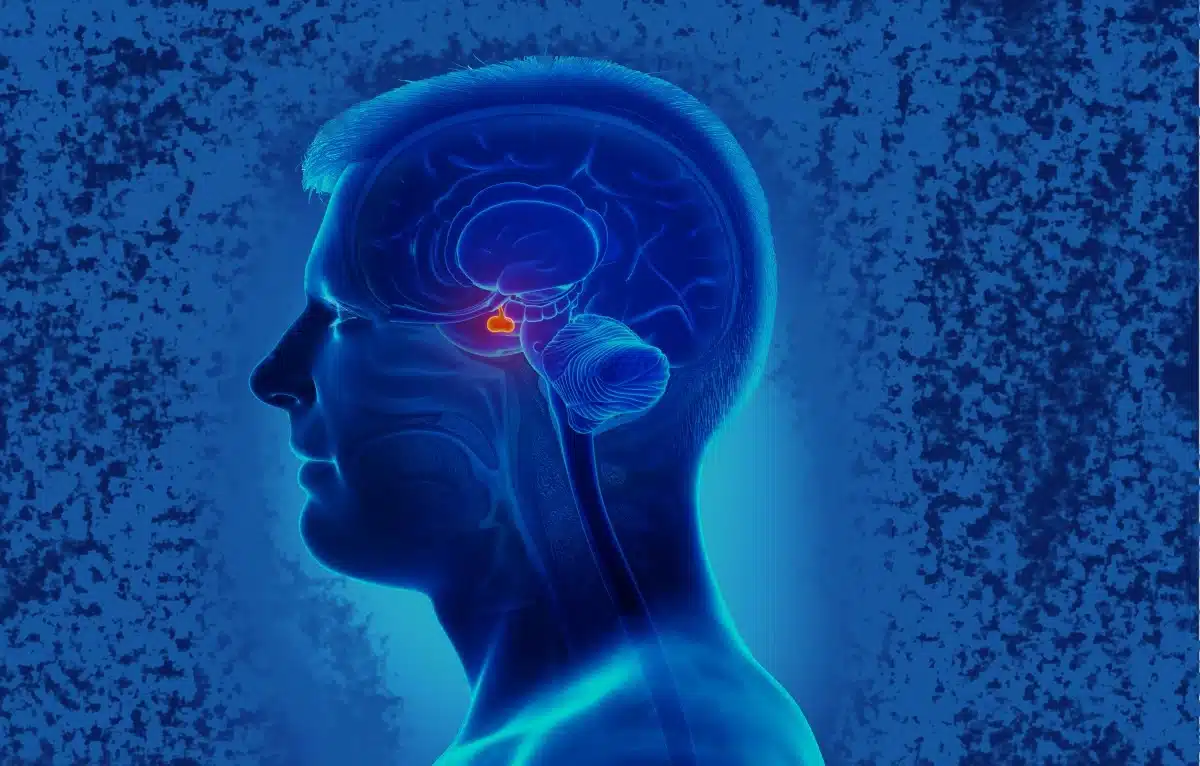 estimulação cerebral pode tornar pessoas mais generosas aponta estudo