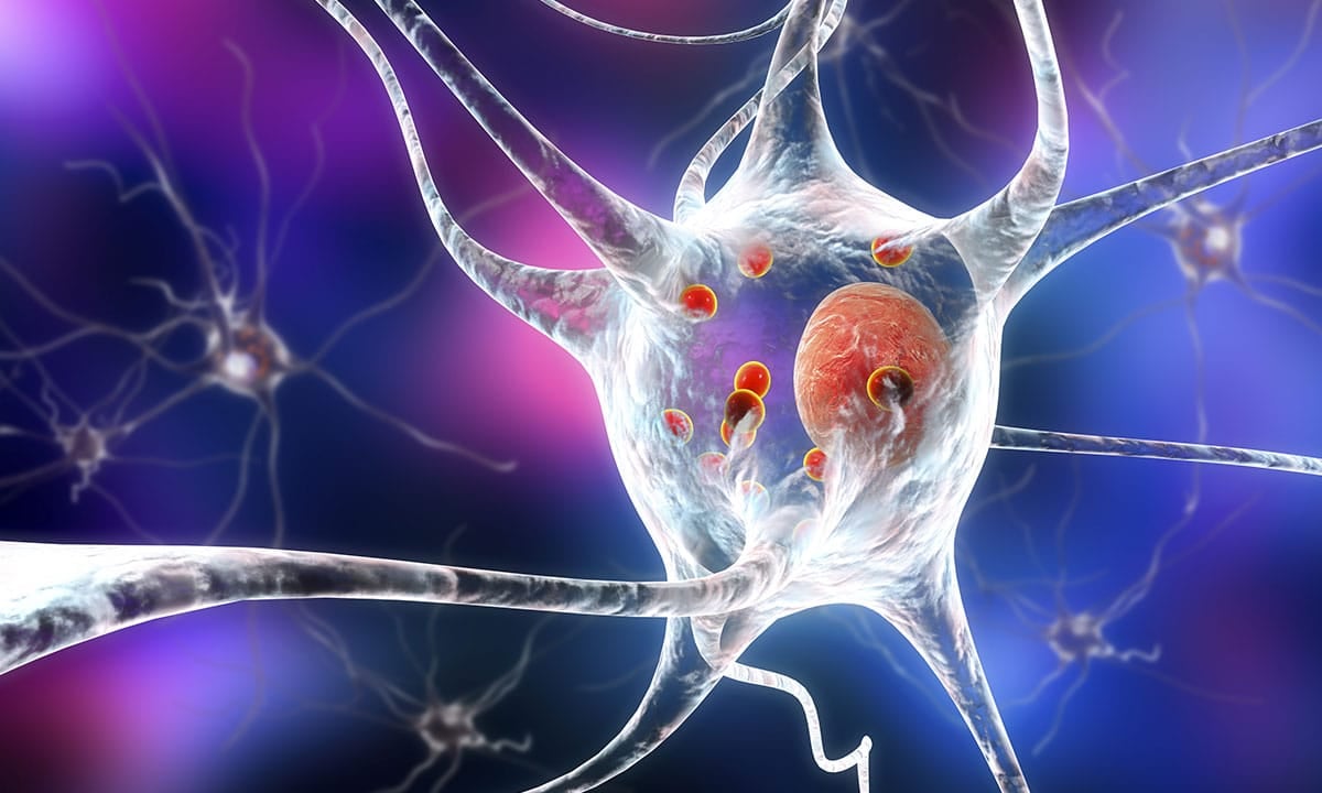 Representação de células-tronco usadas no tratamento da doença de Parkinson
