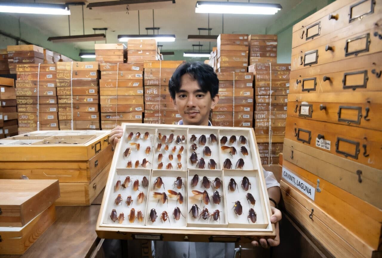 Cristian Lucañas — Foto: Florante Cruz/University of the Philippines Los Baños Museum of Natural History