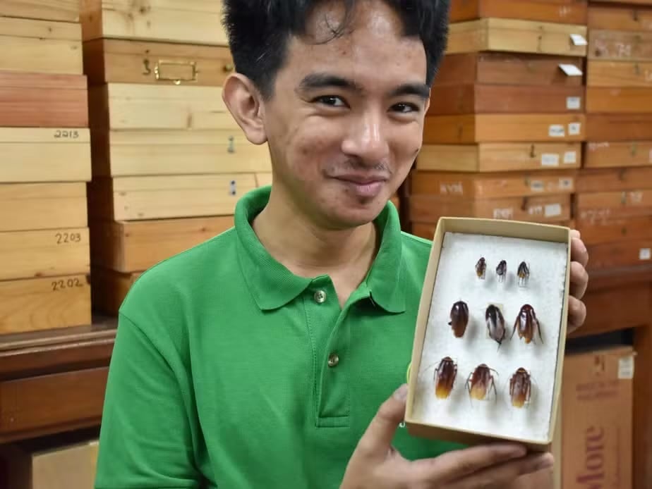 Cristian Lucañas — Foto: Florante Cruz/University of the Philippines Los Baños Museum of Natural History