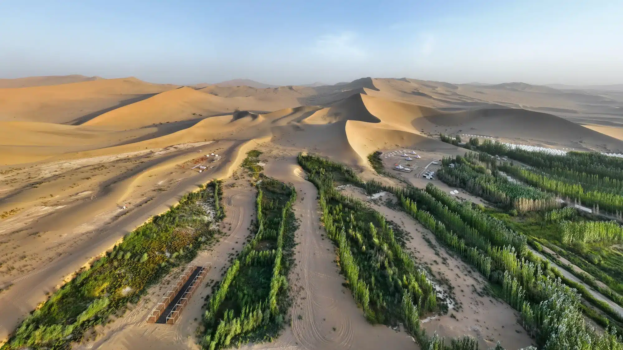 Faixa verde de árvores ao redor de área desértica na China